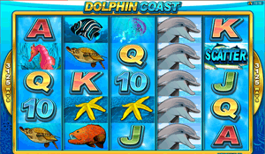Dolphin Coast Video Slot